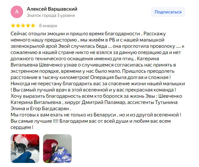 отзыв на ветклинику Сойка
