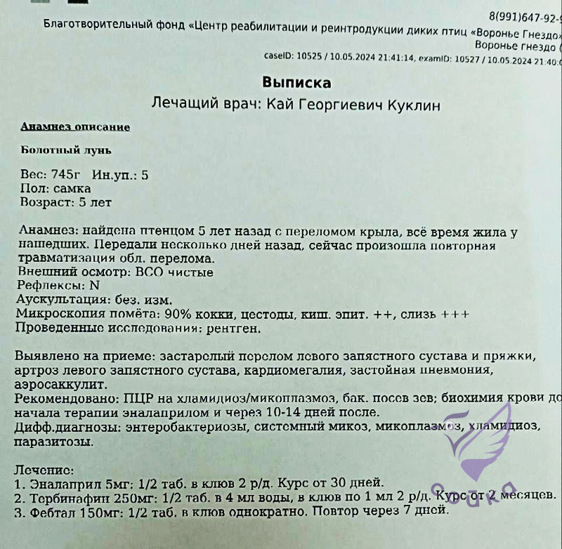 ветклиника Сойка в Одинцово